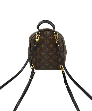 Monogram Palm Springs Mini Backpack