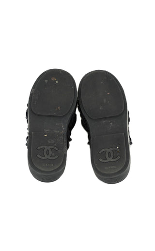 Camellia Slides