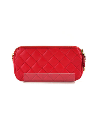 Double Zip Wallet on Chain Bag