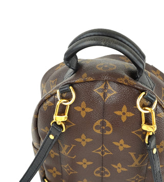 Monogram Palm Springs Mini Backpack