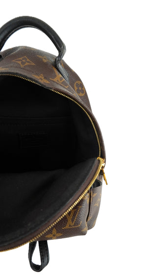 Monogram Palm Springs Mini Backpack