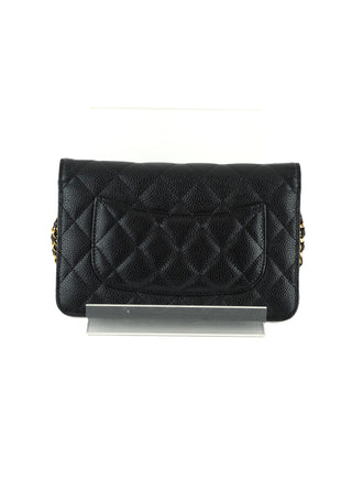 Classic Wallet on Chain Bag