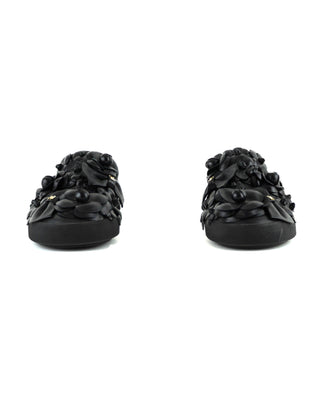 Camellia Slides