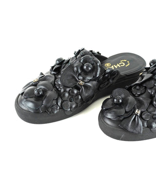 Camellia Slides