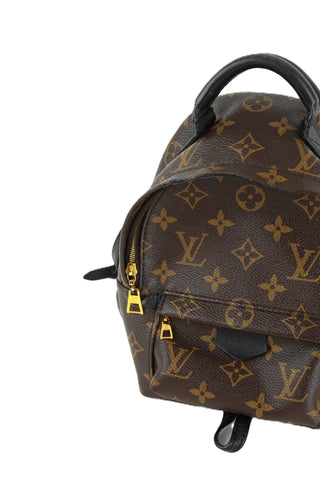 Monogram Palm Springs Mini Backpack