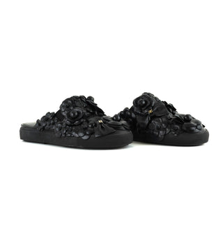 Camellia Slides