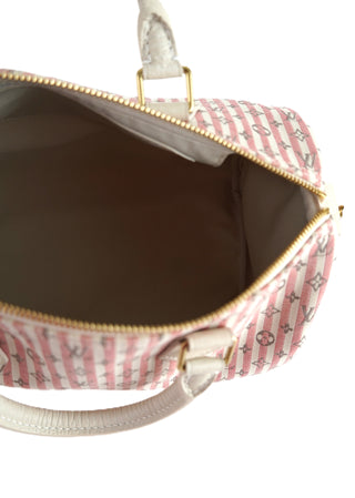 Mini Lin Croisette Speedy 30 Bag