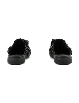 Camellia Slides