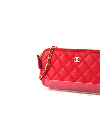 Double Zip Wallet on Chain Bag