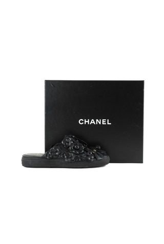 Camellia Slides