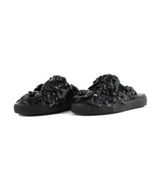 Camellia Slides